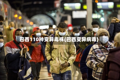 巴西110种变异毒株(巴西变异病毒)-第3张图片
