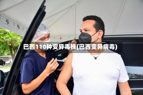巴西110种变异毒株(巴西变异病毒)