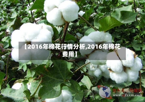 【2016年棉花行情分析,2016年棉花费用】-第2张图片