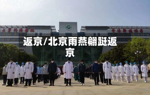 返京/北京雨燕翩跹返京-第2张图片