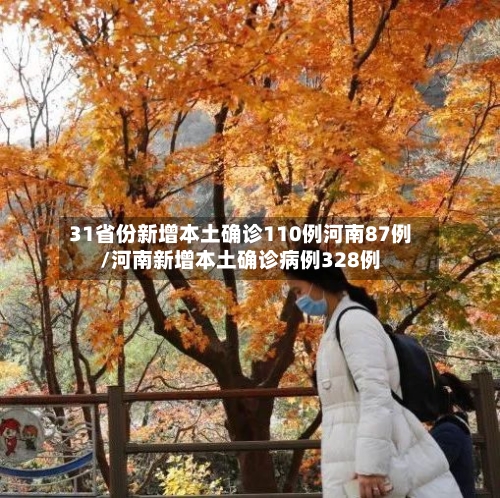 31省份新增本土确诊110例河南87例/河南新增本土确诊病例328例-第2张图片