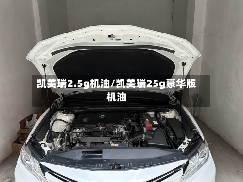 凯美瑞2.5g机油/凯美瑞25g豪华版机油-第2张图片