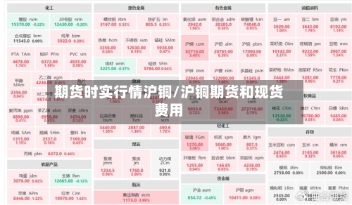 期货时实行情沪铜/沪铜期货和现货费用