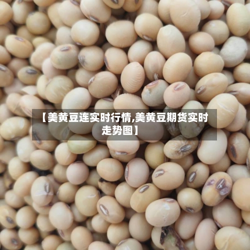 【美黄豆连实时行情,美黄豆期货实时走势图】