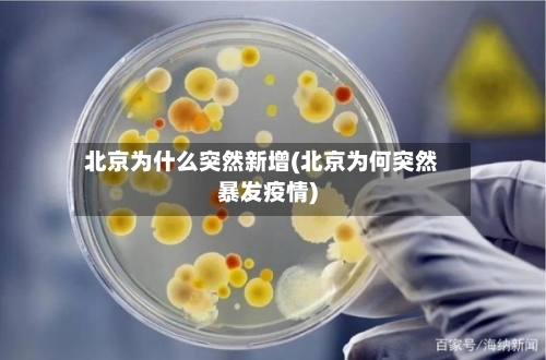 北京为什么突然新增(北京为何突然暴发疫情)