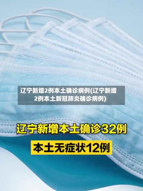 辽宁新增2例本土确诊病例(辽宁新增2例本土新冠肺炎确诊病例)-第2张图片