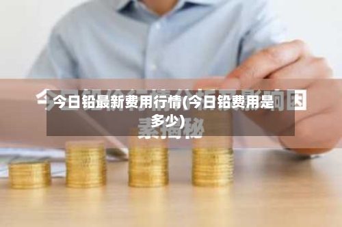 今日铅最新费用行情(今日铅费用是多少)