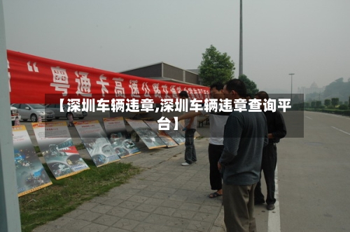 【深圳车辆违章,深圳车辆违章查询平台】-第3张图片