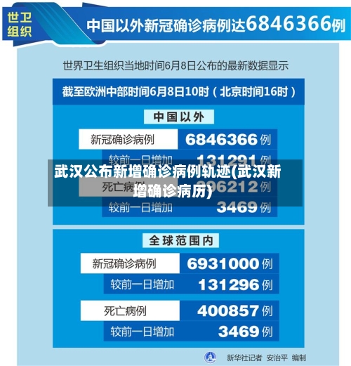 武汉公布新增确诊病例轨迹(武汉新增确诊病历)-第2张图片