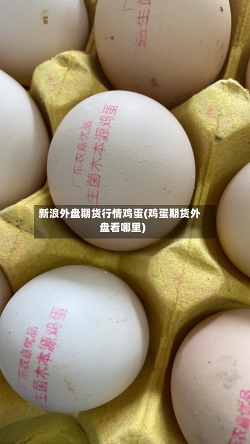 新浪外盘期货行情鸡蛋(鸡蛋期货外盘看哪里)-第2张图片