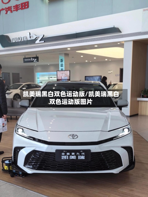 凯美瑞黑白双色运动版/凯美瑞黑白双色运动版图片