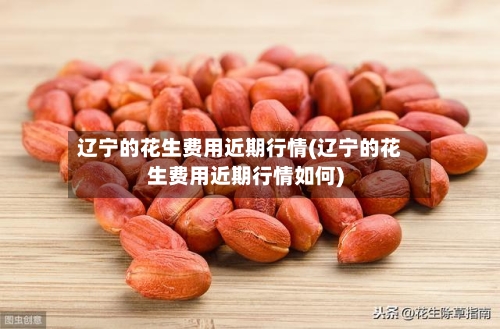 辽宁的花生费用近期行情(辽宁的花生费用近期行情如何)