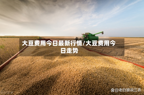 大豆费用今日最新行情/大豆费用今日走势