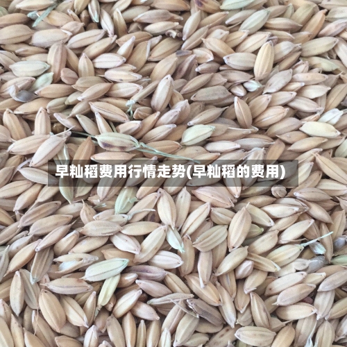 早籼稻费用行情走势(早籼稻的费用)
