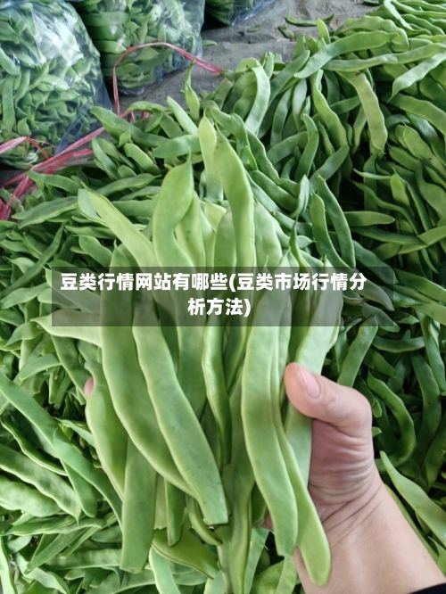 豆类行情网站有哪些(豆类市场行情分析方法)