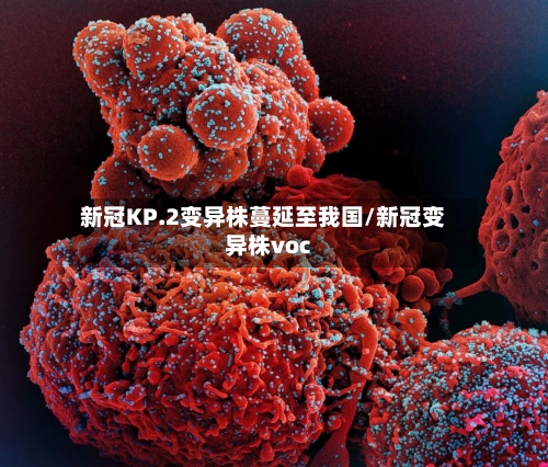 新冠KP.2变异株蔓延至我国/新冠变异株voc