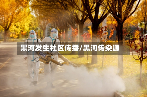 黑河发生社区传播/黑河传染源