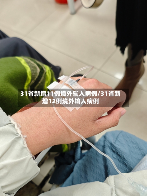 31省新增11例境外输入病例/31省新增12例境外输入病例