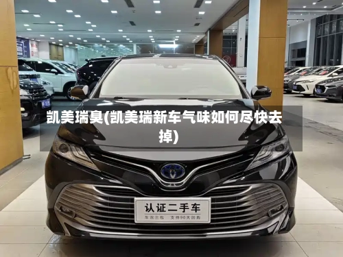 凯美瑞臭(凯美瑞新车气味如何尽快去掉)
