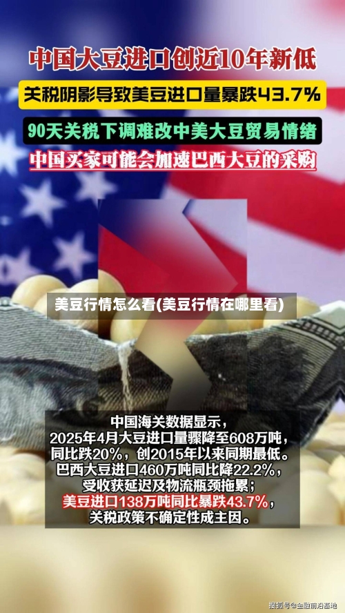 美豆行情怎么看(美豆行情在哪里看)