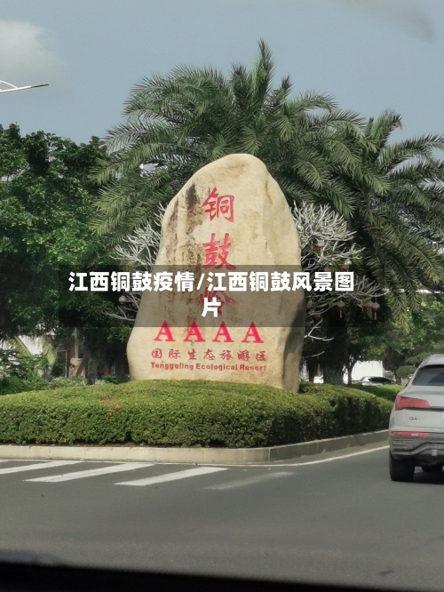 江西铜鼓疫情/江西铜鼓风景图片