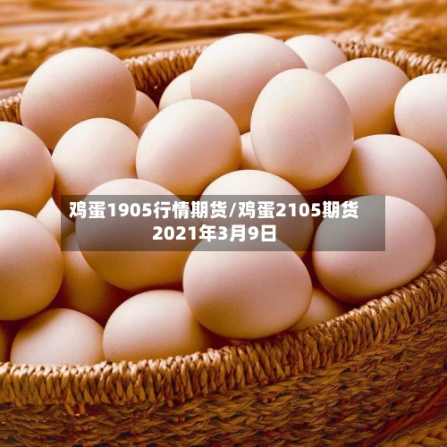 鸡蛋1905行情期货/鸡蛋2105期货2021年3月9日