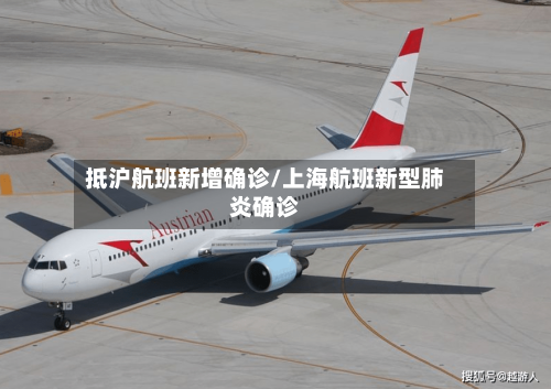 抵沪航班新增确诊/上海航班新型肺炎确诊