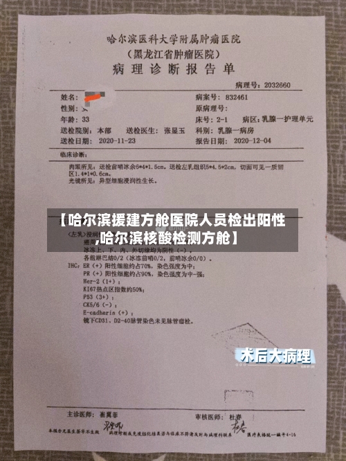 【哈尔滨援建方舱医院人员检出阳性,哈尔滨核酸检测方舱】