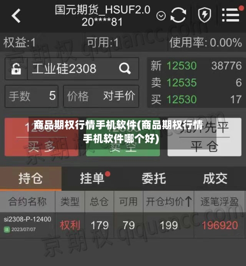 商品期权行情手机软件(商品期权行情手机软件哪个好)