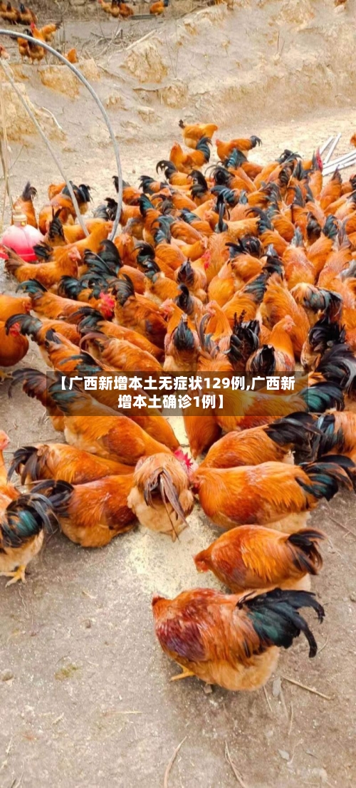 【广西新增本土无症状129例,广西新增本土确诊1例】