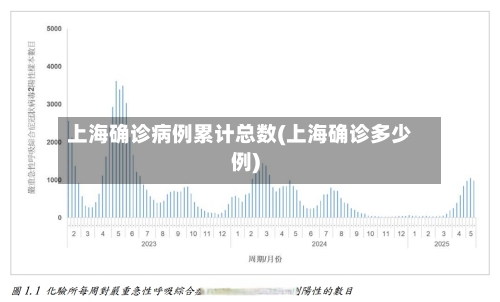 上海确诊病例累计总数(上海确诊多少例)