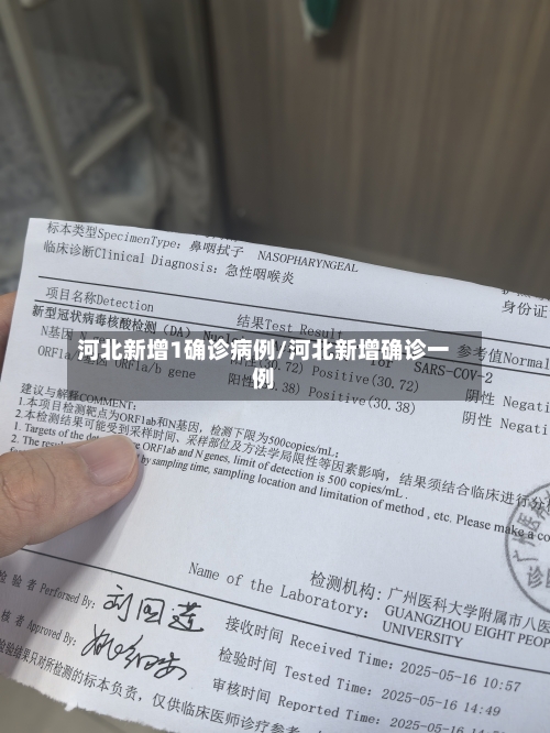 河北新增1确诊病例/河北新增确诊一例