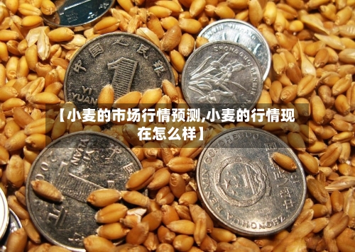 【小麦的市场行情预测,小麦的行情现在怎么样】
