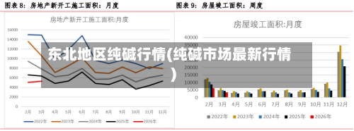 东北地区纯碱行情(纯碱市场最新行情)