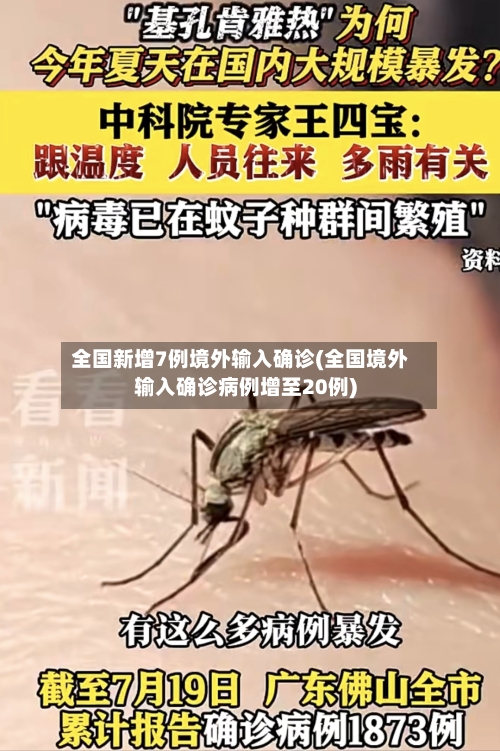 全国新增7例境外输入确诊(全国境外输入确诊病例增至20例)