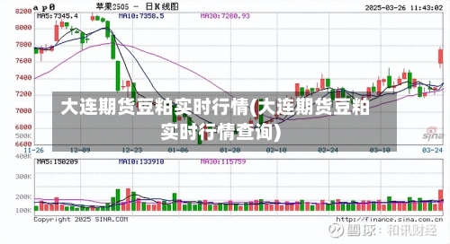 大连期货豆粕实时行情(大连期货豆粕实时行情查询)
