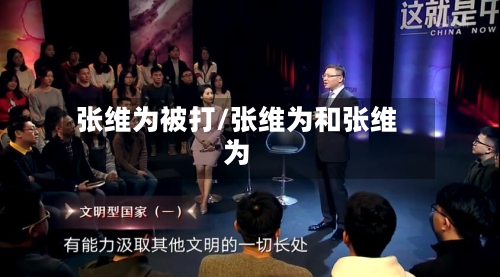 张维为被打/张维为和张维为