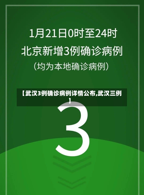 【武汉3例确诊病例详情公布,武汉三例】
