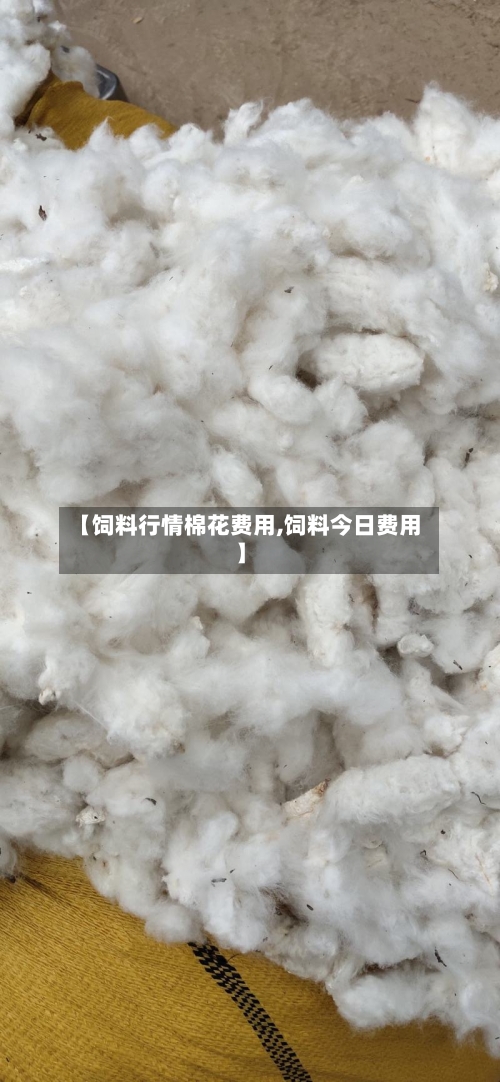 【饲料行情棉花费用,饲料今日费用】