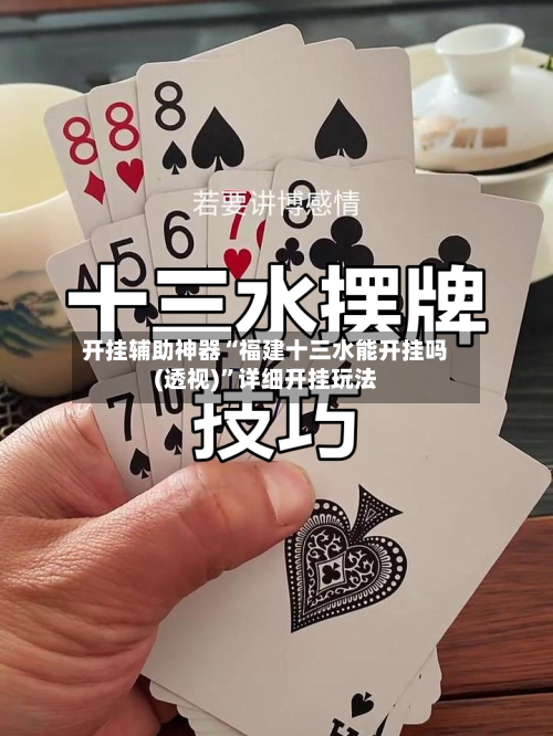 开挂辅助神器“福建十三水能开挂吗(透视)”详细开挂玩法