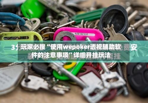 玩家必搜“使用wepoker透视辅助软件的注意事项”详细开挂玩法
