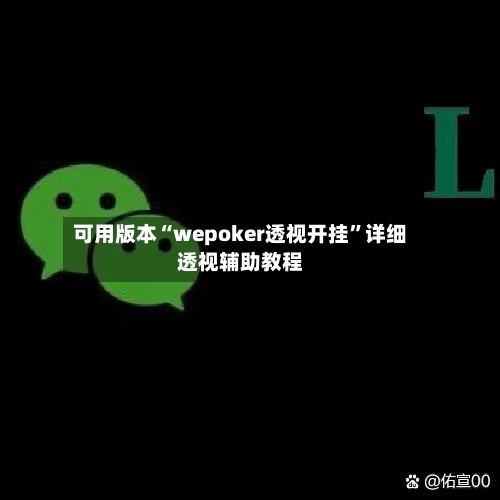可用版本“wepoker透视开挂”详细透视辅助教程