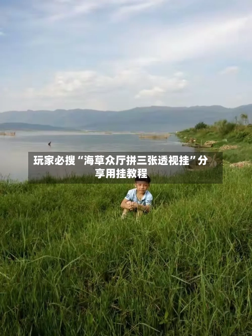 玩家必搜“海草众厅拼三张透视挂”分享用挂教程