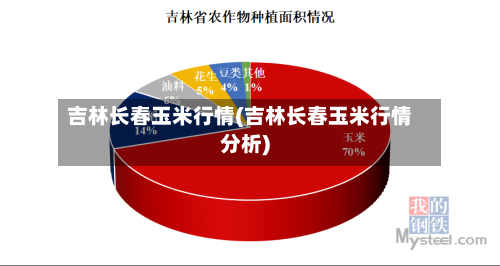 吉林长春玉米行情(吉林长春玉米行情分析)