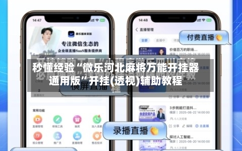 秒懂经验“微乐河北麻将万能开挂器通用版”开挂(透视)辅助教程