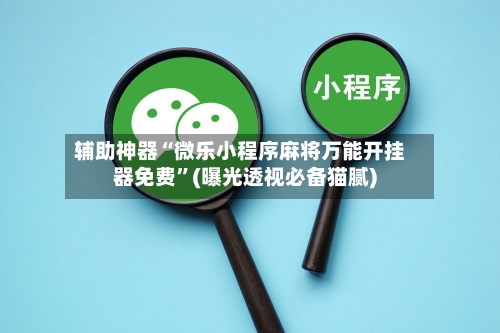 辅助神器“微乐小程序麻将万能开挂器免费”(曝光透视必备猫腻)