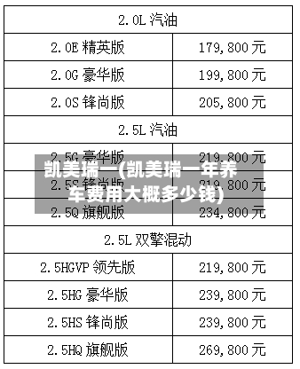 凯美瑞一(凯美瑞一年养车费用大概多少钱)