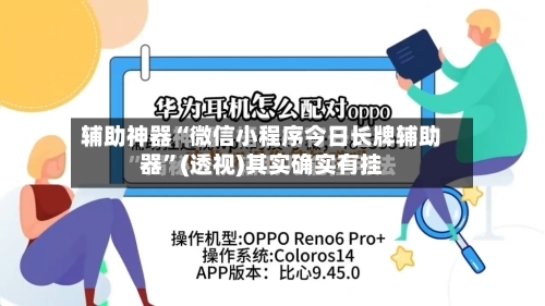 辅助神器“微信小程序今日长牌辅助器”(透视)其实确实有挂