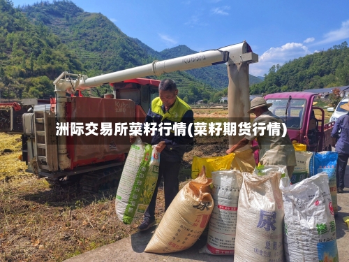 洲际交易所菜籽行情(菜籽期货行情)