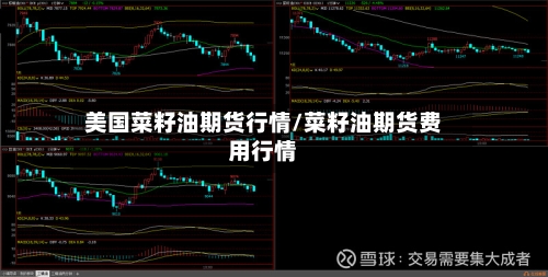美国菜籽油期货行情/菜籽油期货费用行情